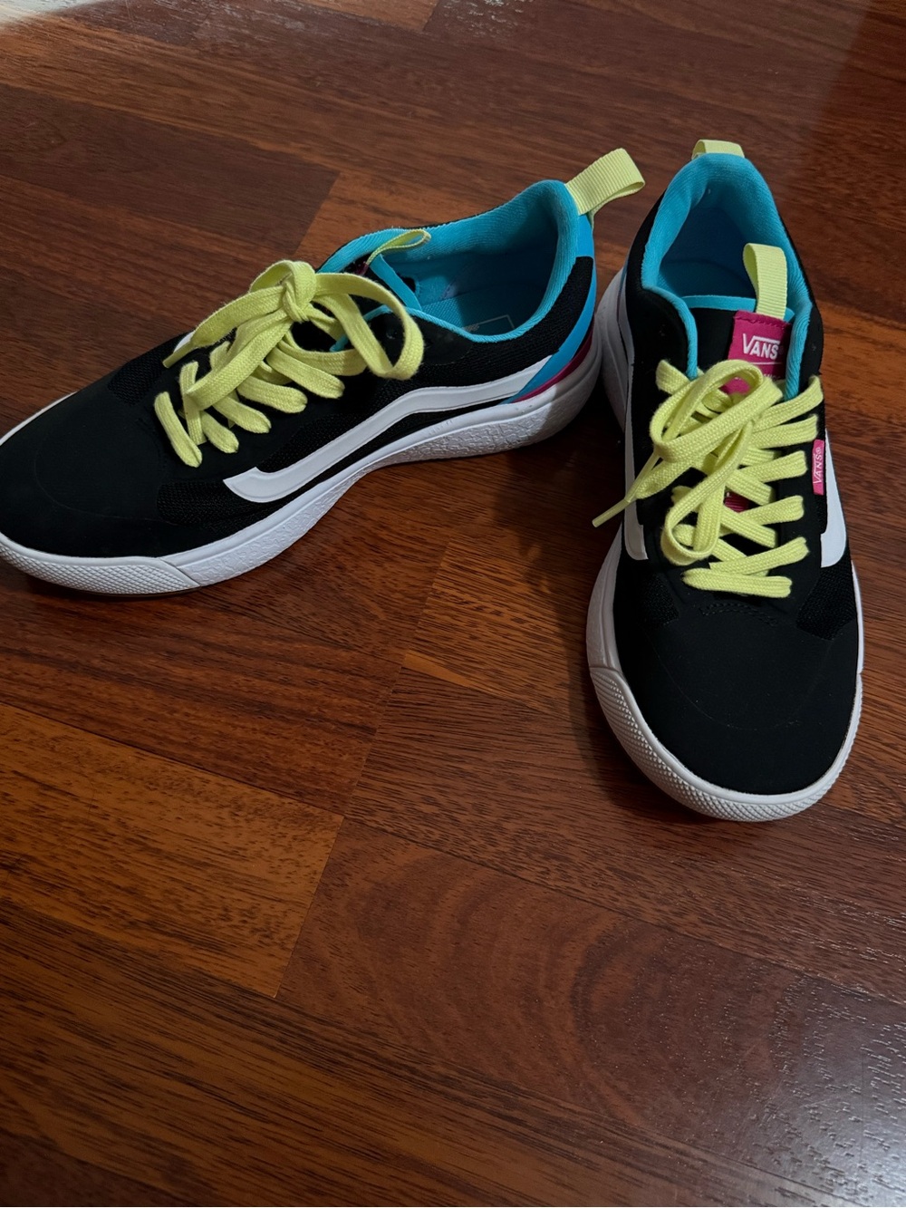 Vans Black Ultra Range Shoes